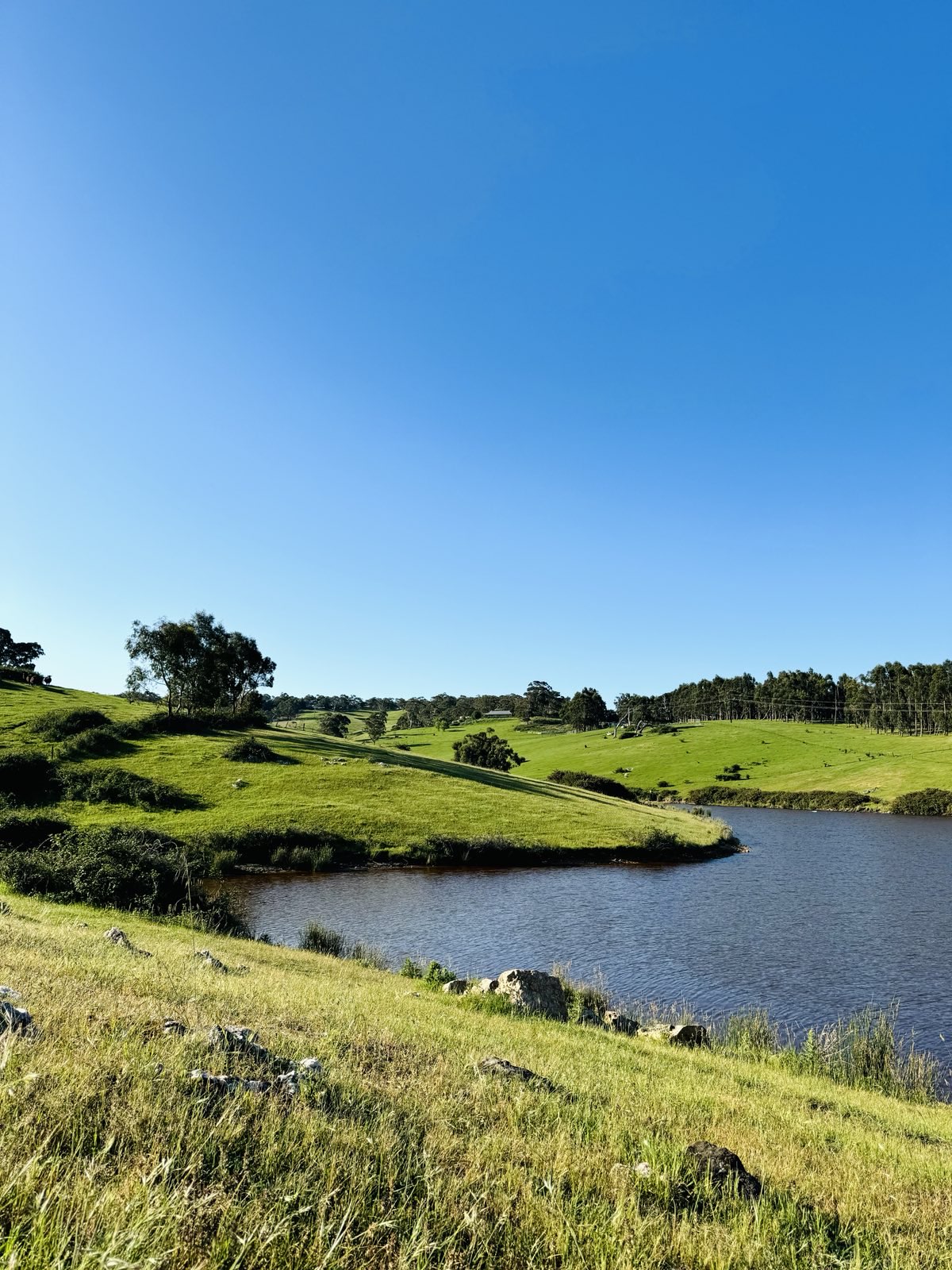 A calm body of water surrounded by rolling green hills and trees.